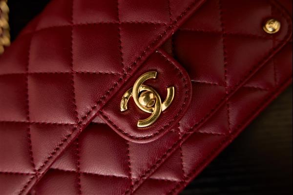 2026131222332809 650